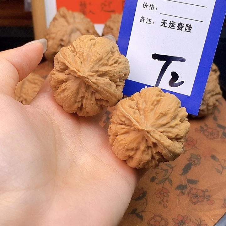 文玩核桃把件文玩核桃霸王龙2