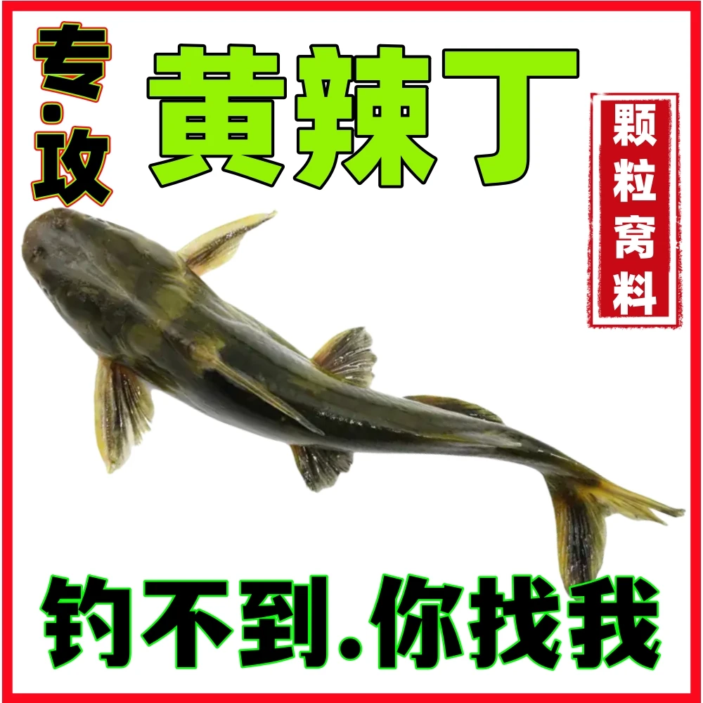 【黄辣丁窝料】昂刺鱼颗粒窝料钓鱼窝子昂公黄辣丁饵料垂钓打窝饵料
