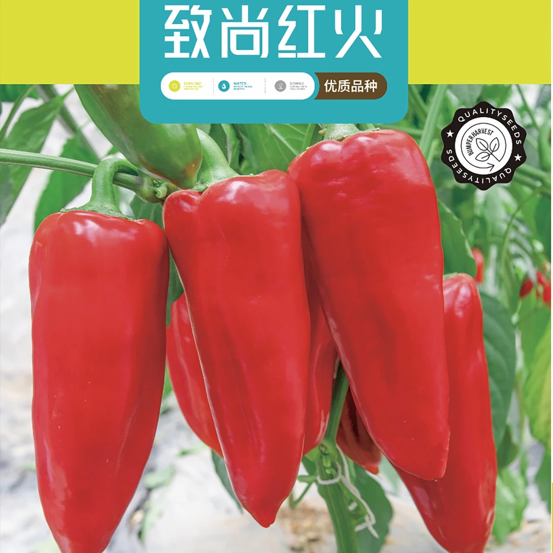 1. 【尊品红炮】致尚红火，燃爆红火新程