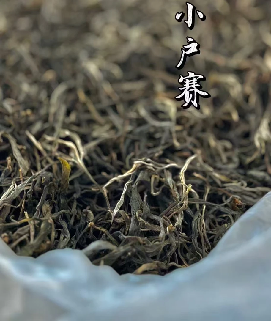 小户赛古树/喝一口就被封神的“赛冰岛”