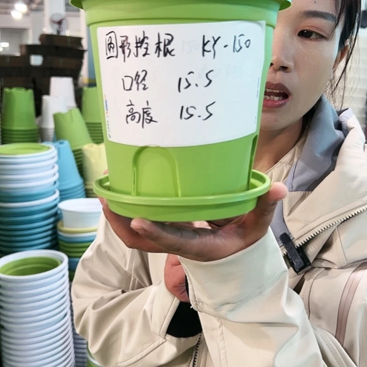 正品圆控口15高15混色10个带托