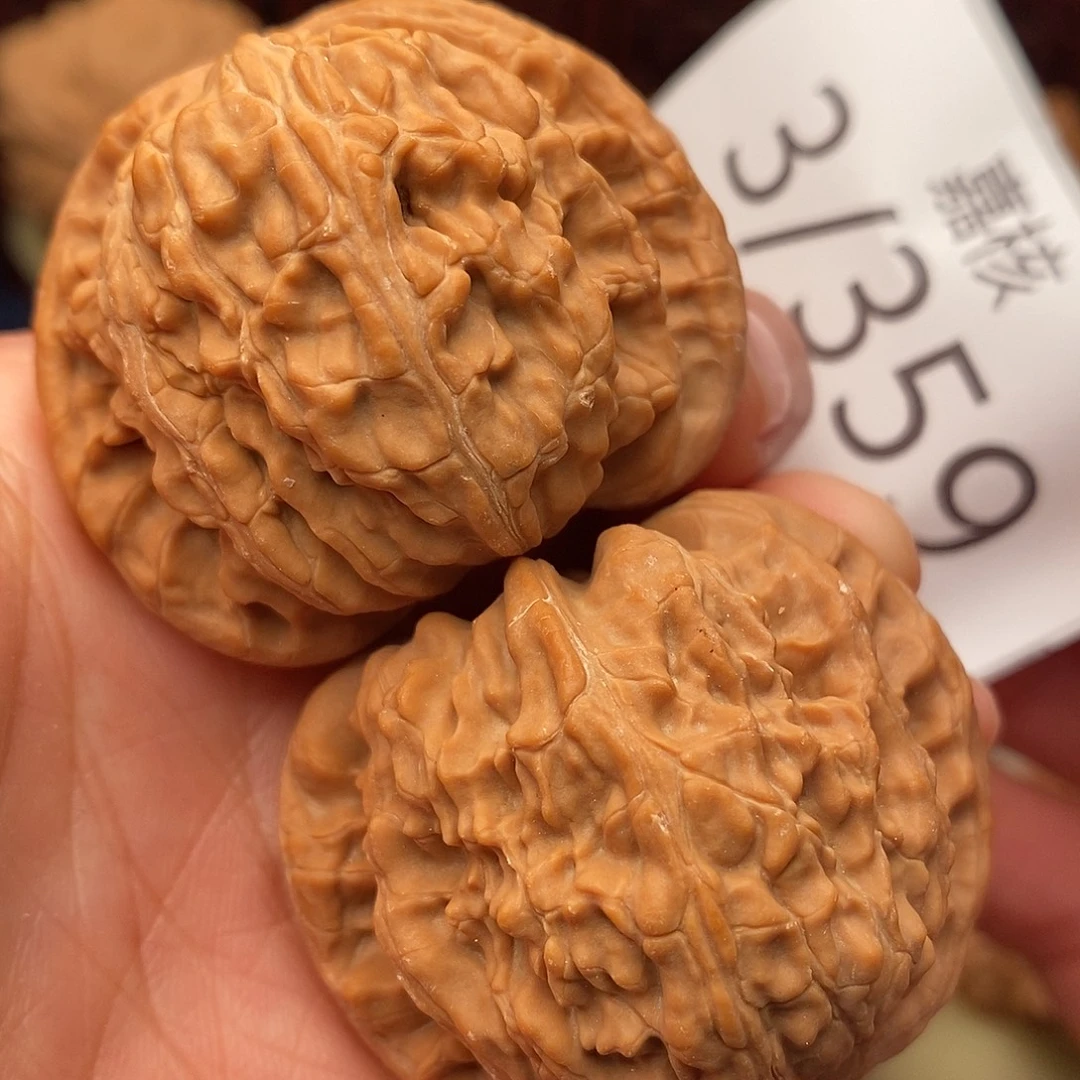 把件文玩核桃43白狮子