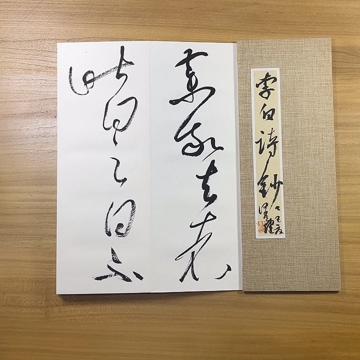 书法中书协会员作品