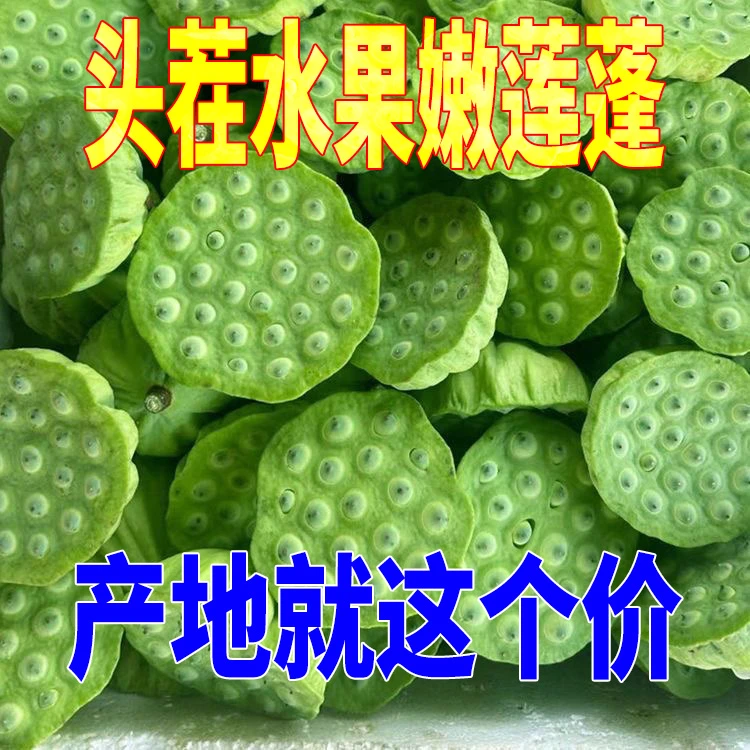 【头茬水果莲蓬】新鲜莲子嫩莲蓬水果莲蓬孕妇水果现摘现发大号饱满