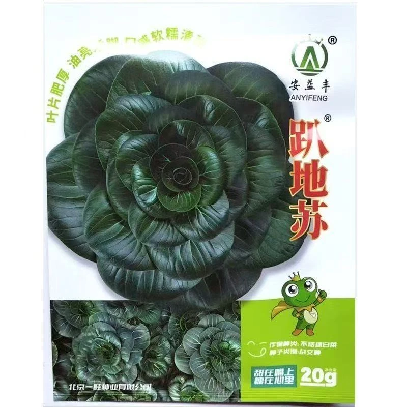 趴地苏青菜种子黑叶油亮矮脚苏州青种子叶片肥厚口感甜糯青菜种籽