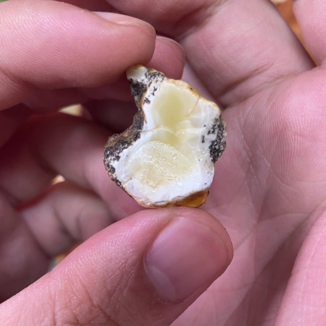 定制琥珀天然琥珀12圆珠