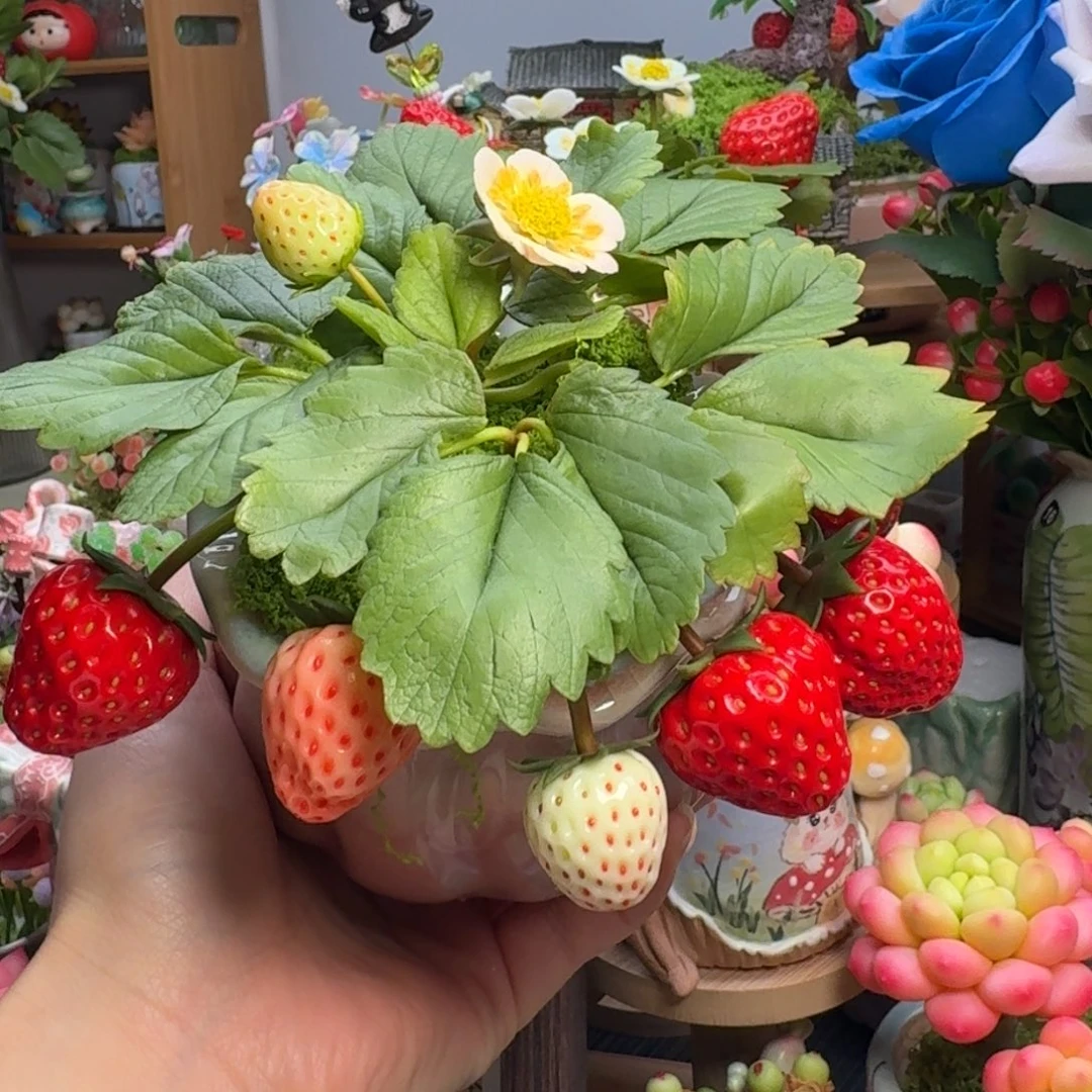 一物一拍默认微瑕不退不换