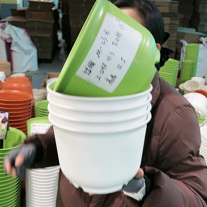 正品矮陶口21高15白色无托8只