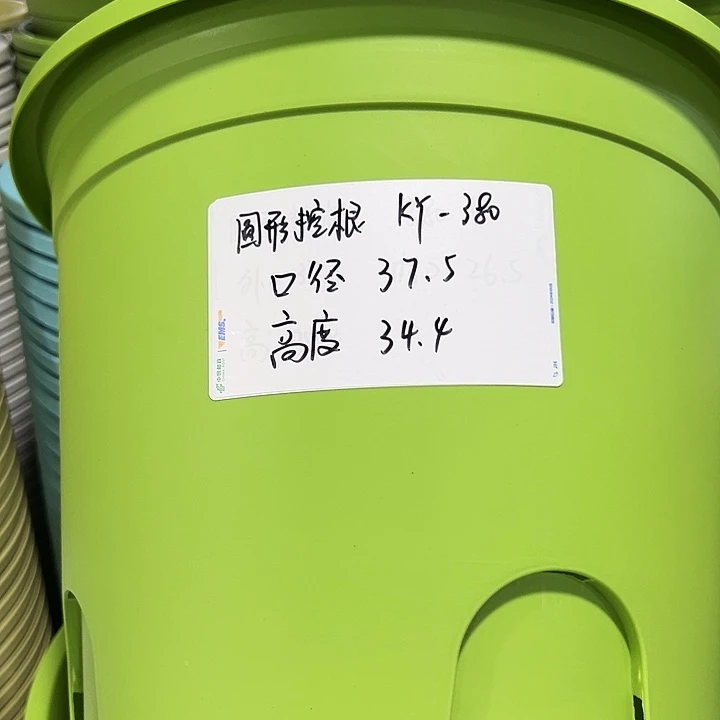 正品圆控口38高34果绿无托3只