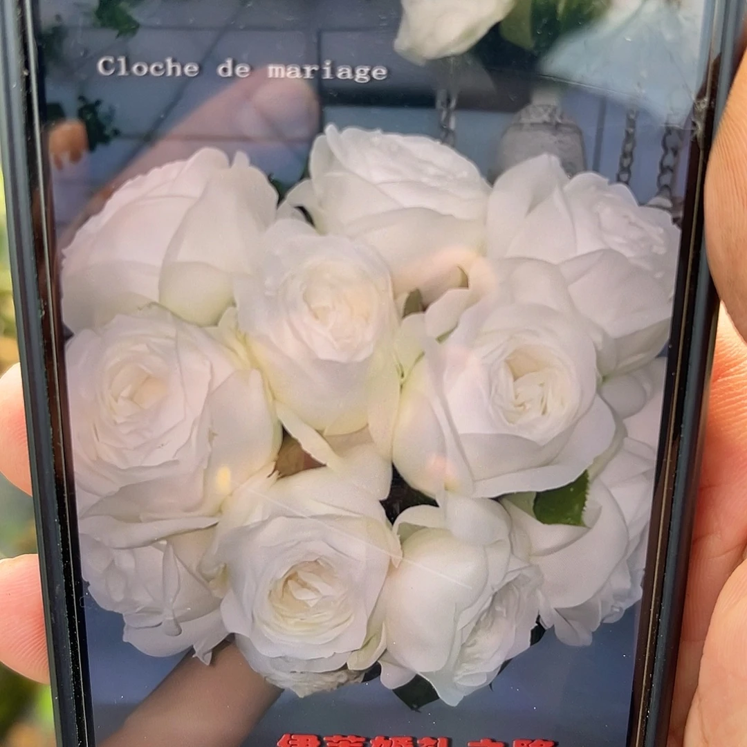 无花朵———-婚礼之路 福利款