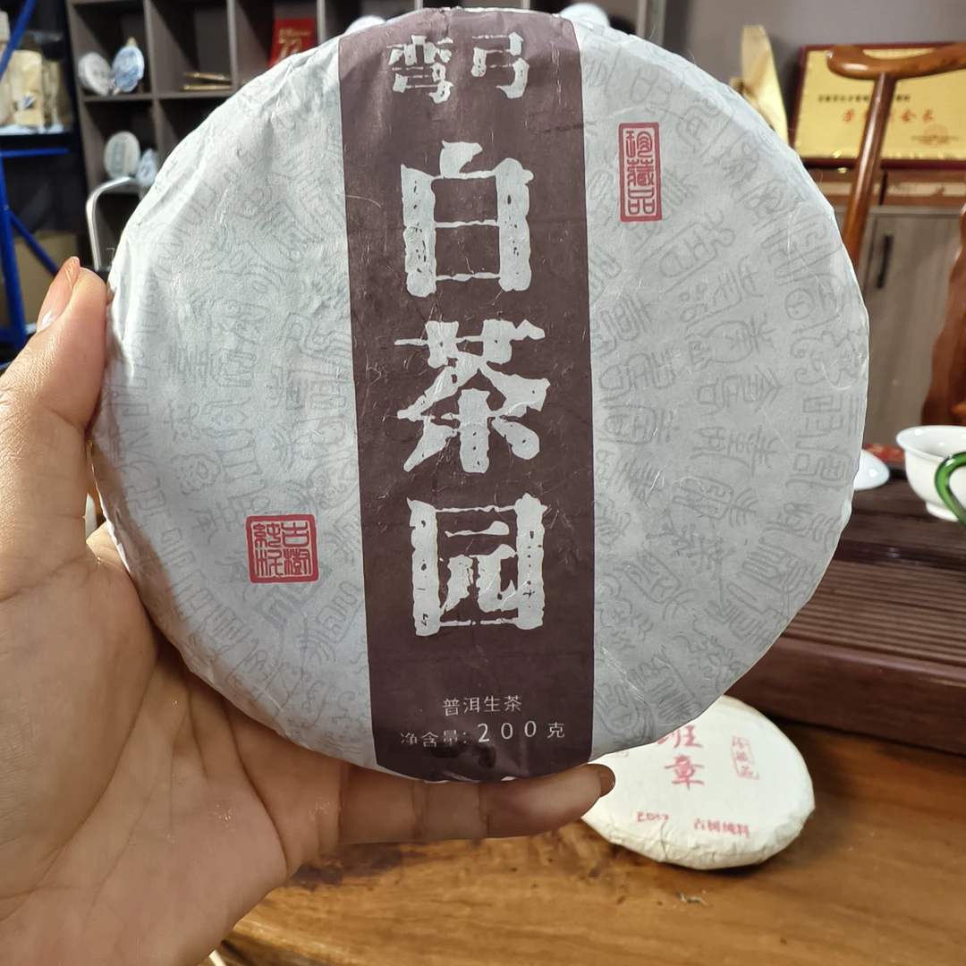 2023年原料易武古树（白茶园）普洱生茶饼200克/饼