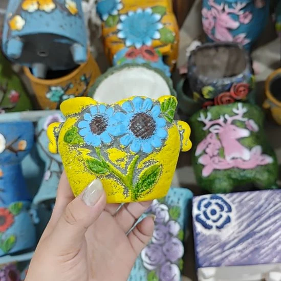 当场拍满15元包邮发货，金额不够发泡沫不发花盆，不凑单真亏钱请别