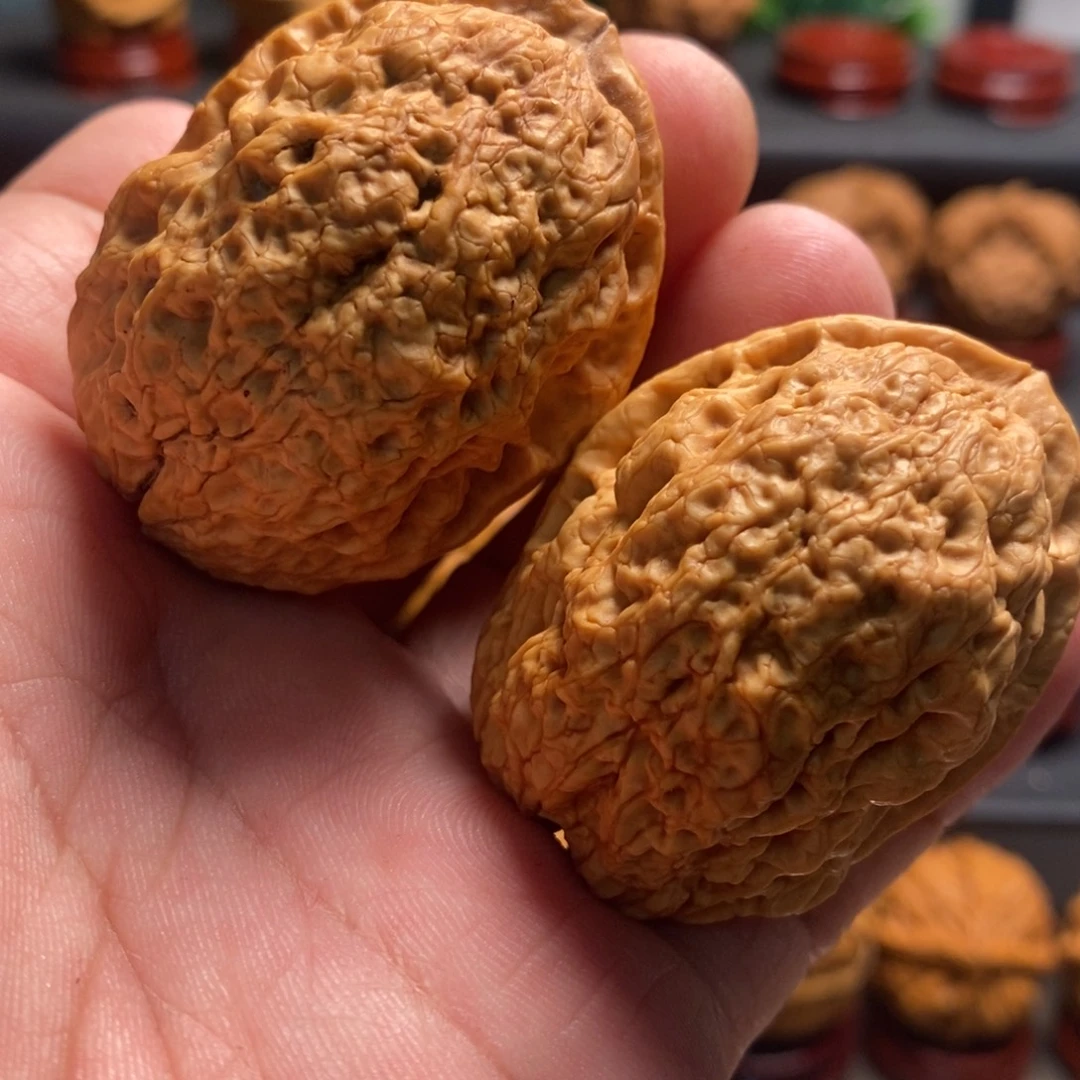 吊坠文玩核桃霸王龙44尺