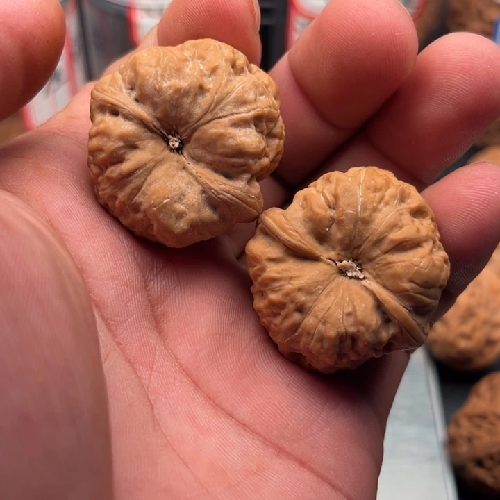 吃***谌文玩核桃把件古蝉