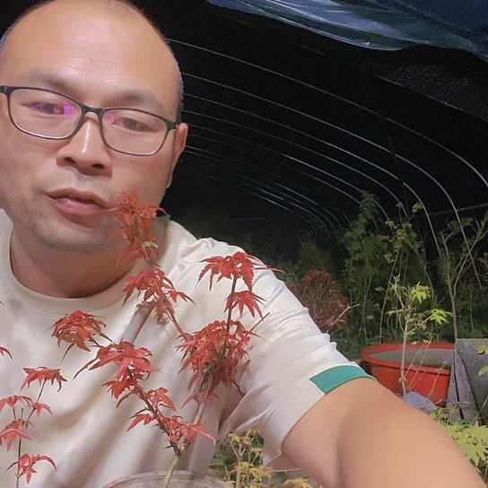完全开放你们都会有新歌听吗哈哈