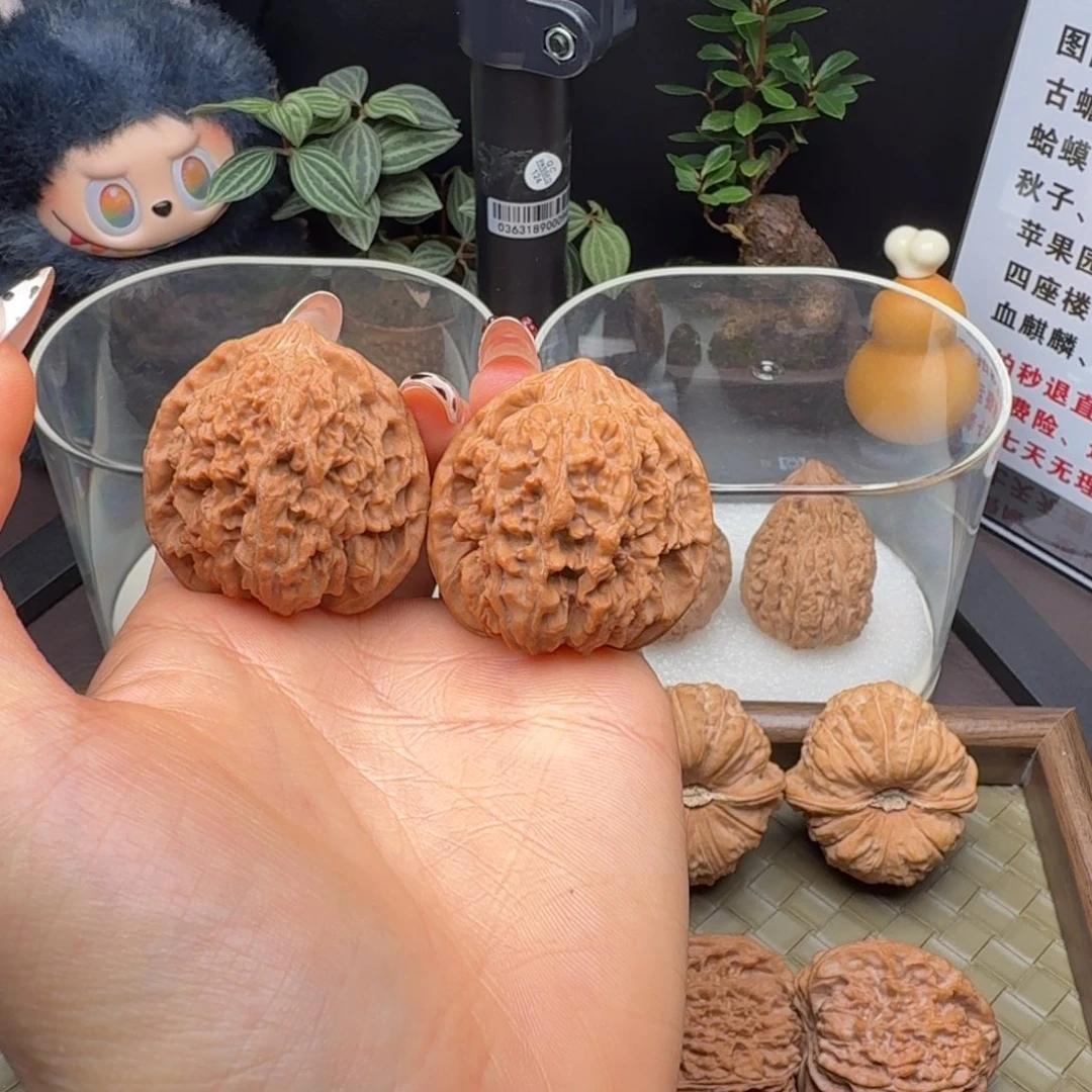 核桃全品满天星39