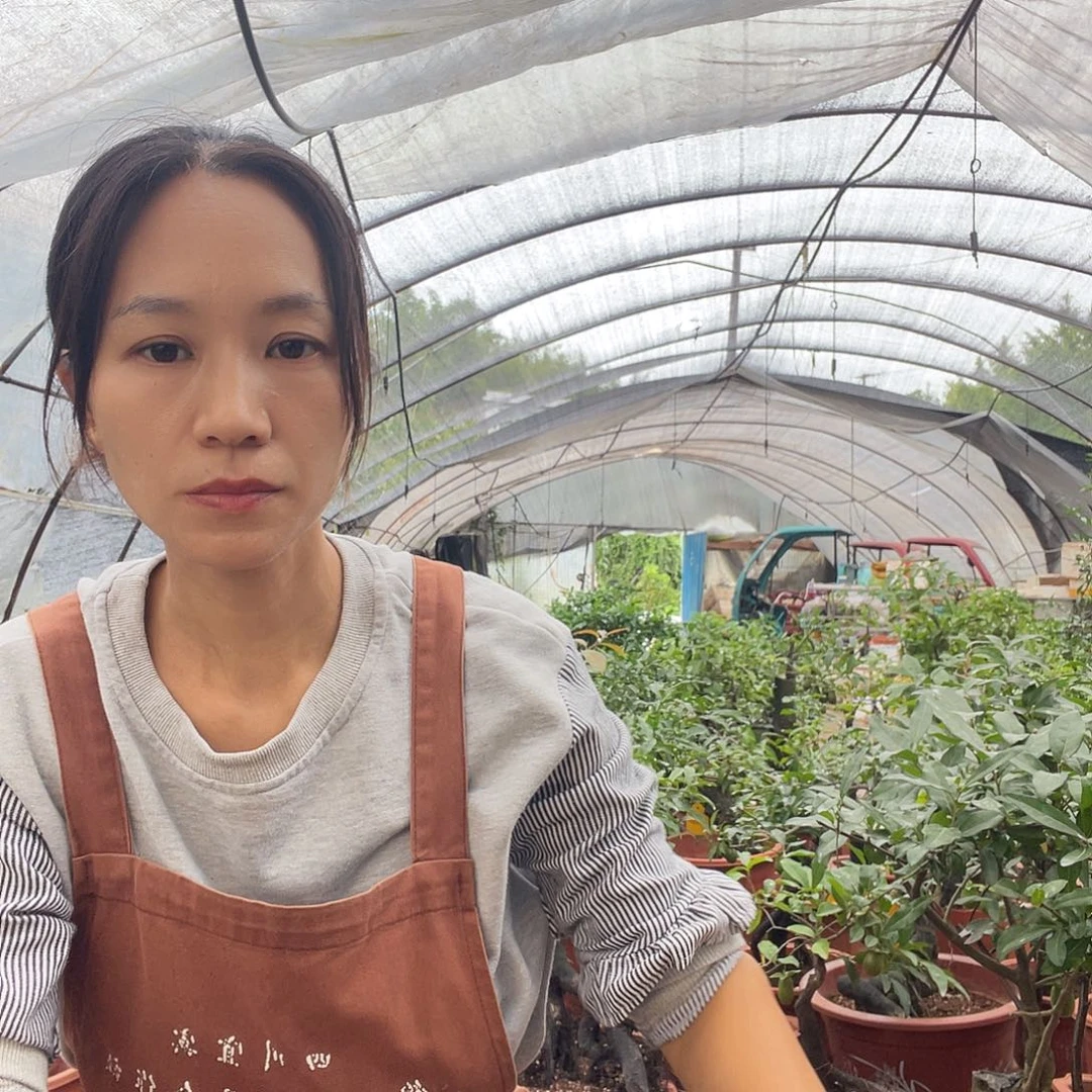 四***树金弹子血钻8798987898899