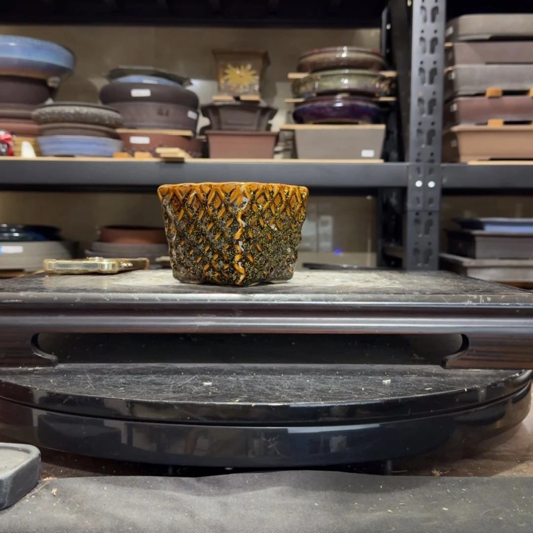 幽*f g g g h hv