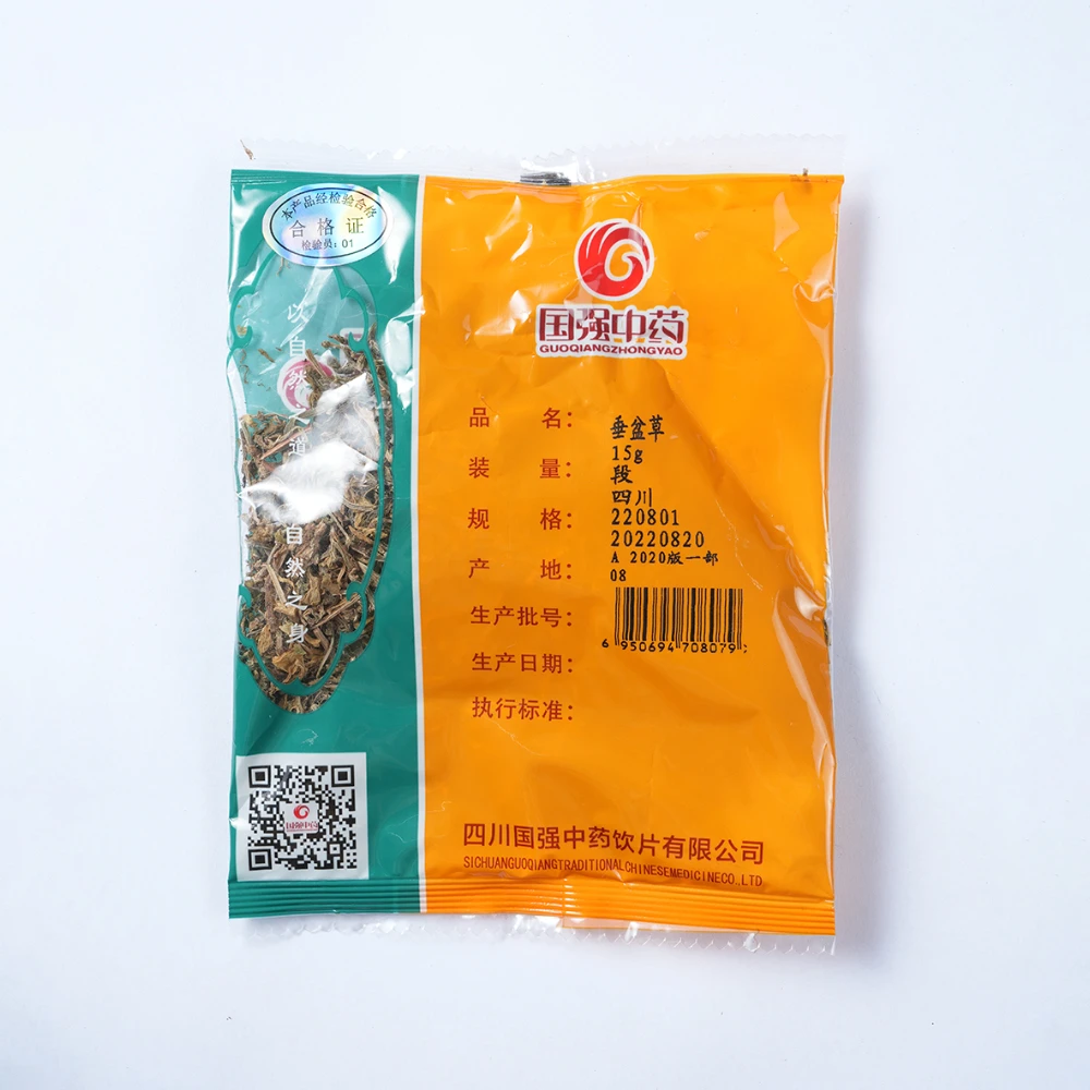 国强垂盆草 独立包装小袋装