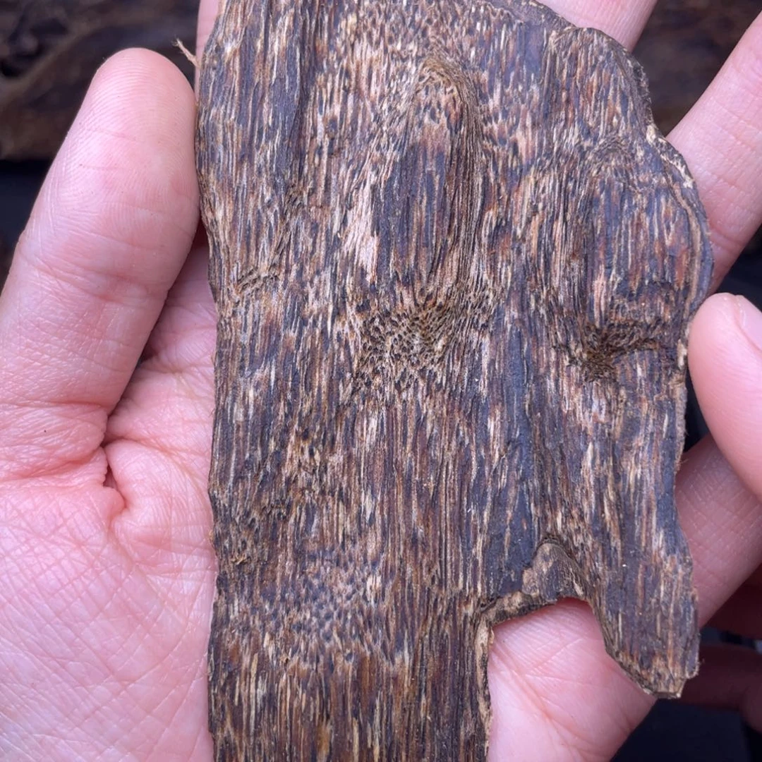 香榧木海南黎母山棋楠泡10克