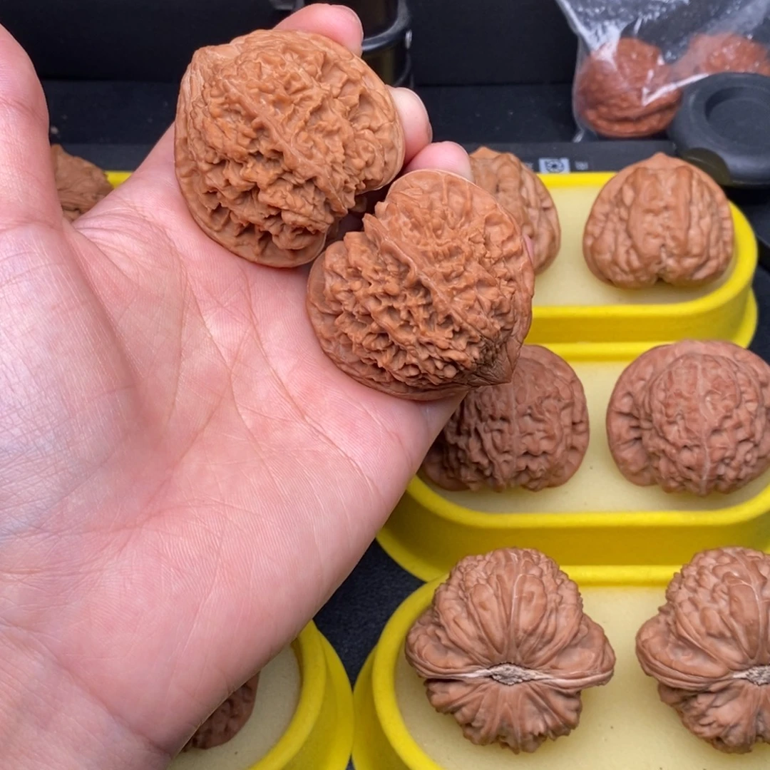 把件核桃45满天星全