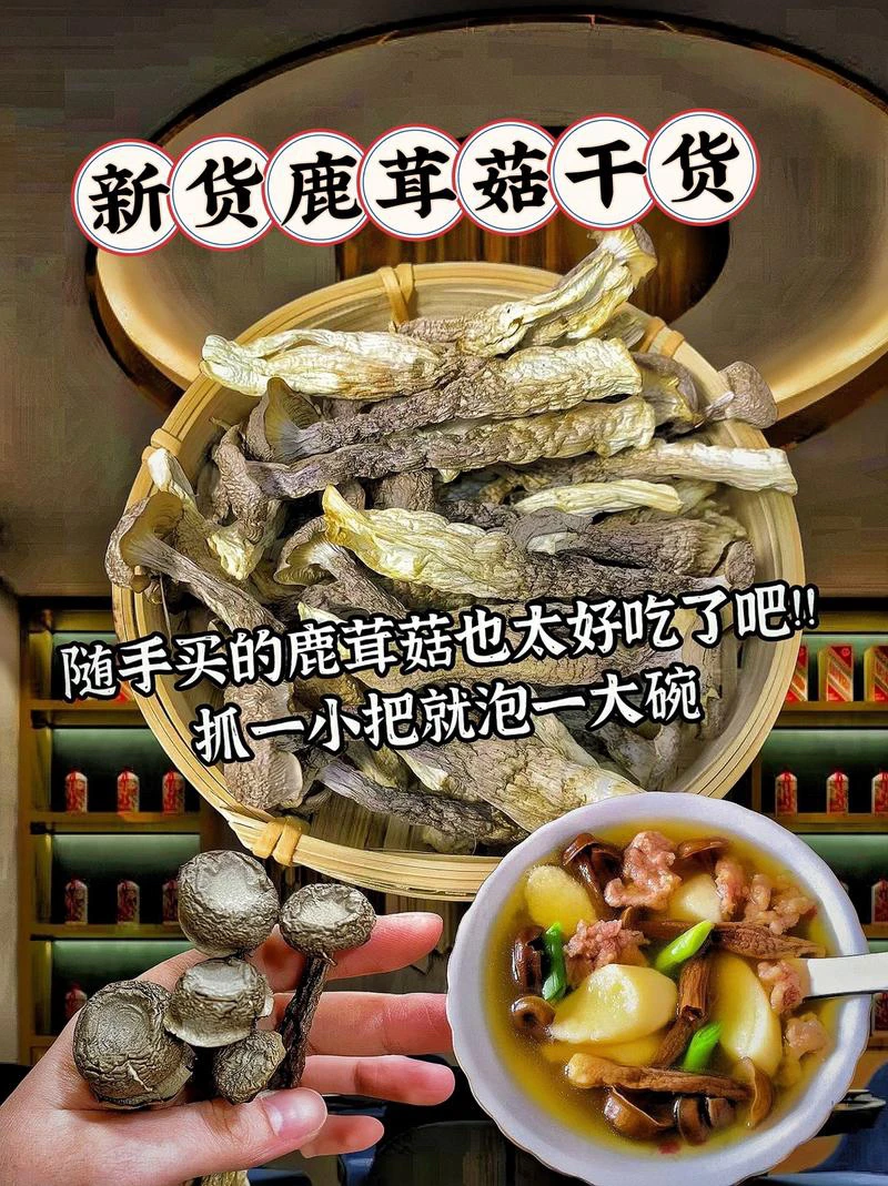 精选菇干货脆嫩菌菇煲汤炒菜食材营养美味特产