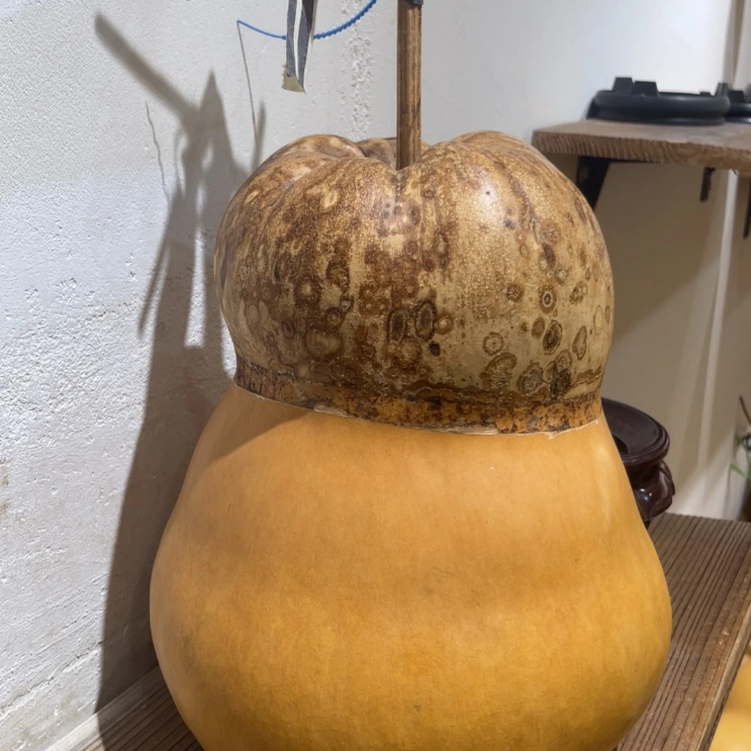 乌木不包邮不保龙头