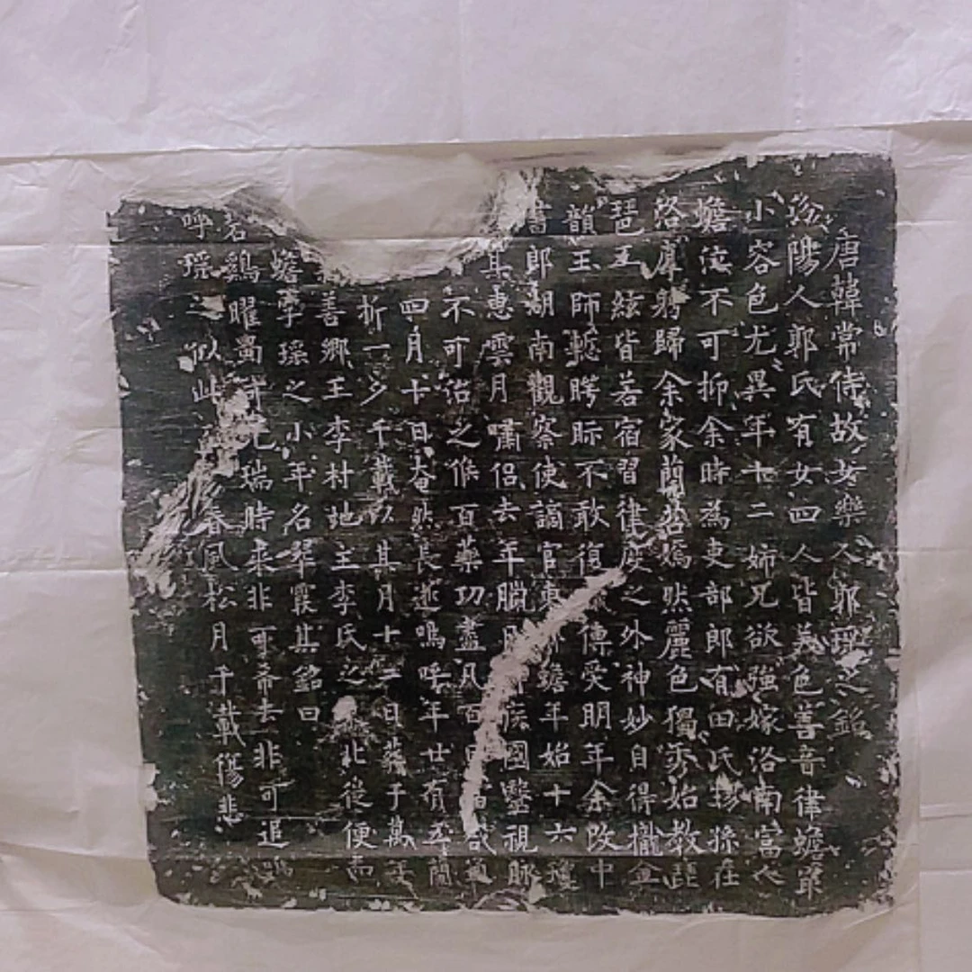 【闪购商品】拓片用纸其他郭瑶