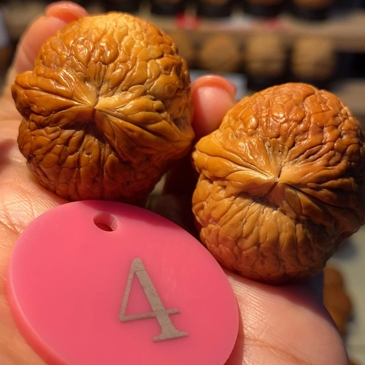 菩提籽类粗筋彩西瓜36尺寸