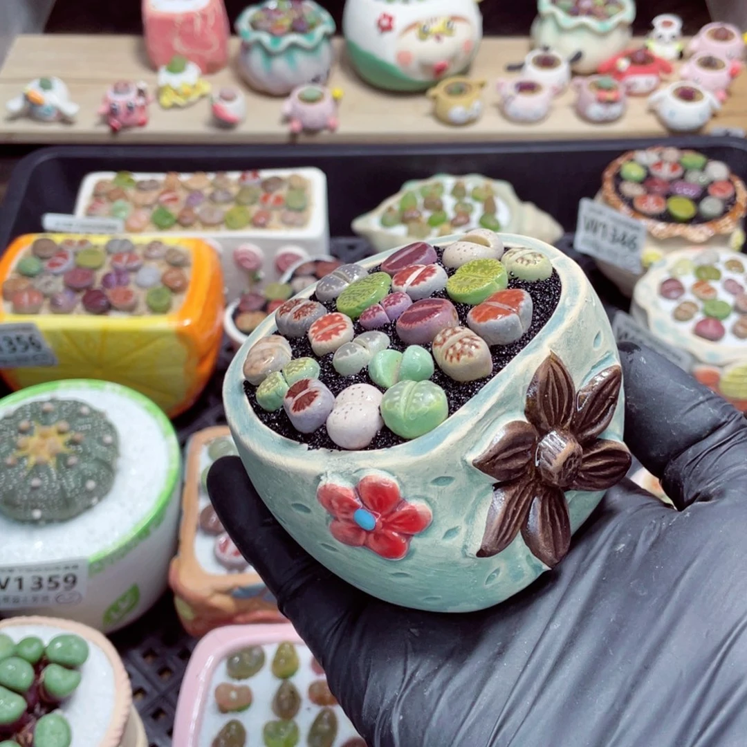 夜间零下地区拍保温箱w1373