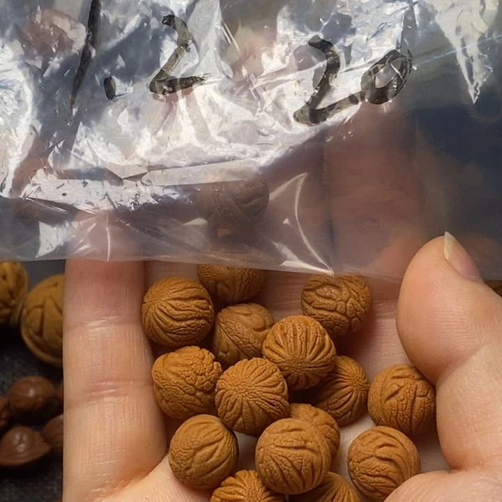 木质类秦岭山野生桃核