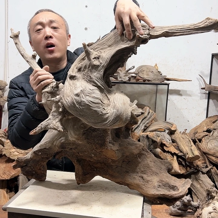 柏木沉**气我们的生活也是如此