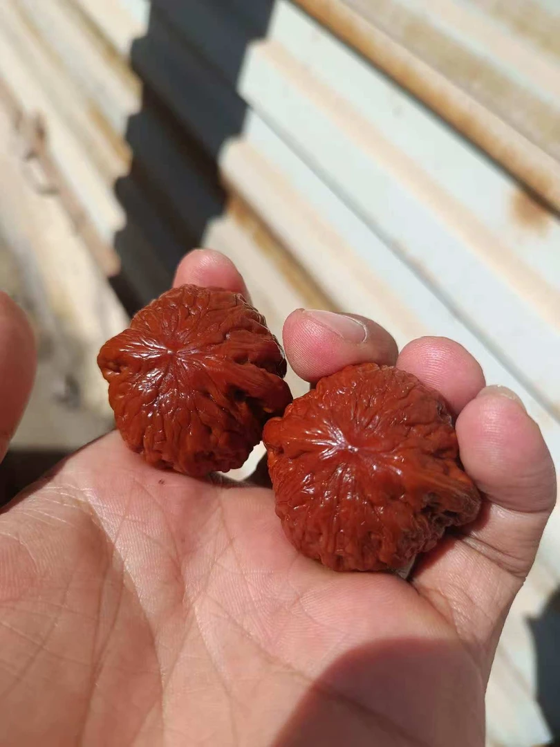 铁锤，全尺寸齐全，纯正山地果走色正，都是全品头茬货！