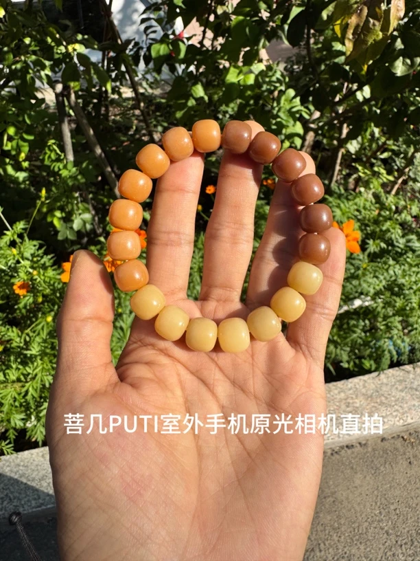 天然风化奶咖色渐变菩提根手串手工干磨男女文玩绕指柔菩提手串