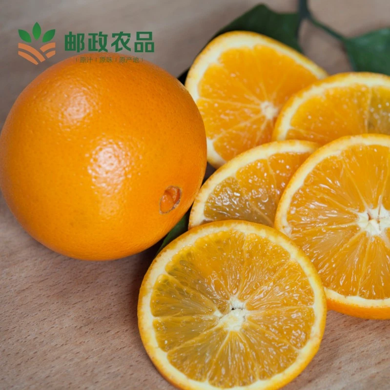 【精品果5斤装】江西赣州正宗赣南脐橙 核心产区 汁水丰盈 酸甜可口