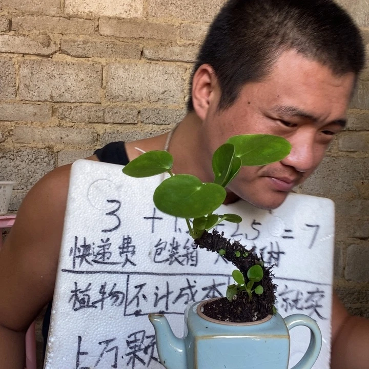 退款拉黑一物一拍22