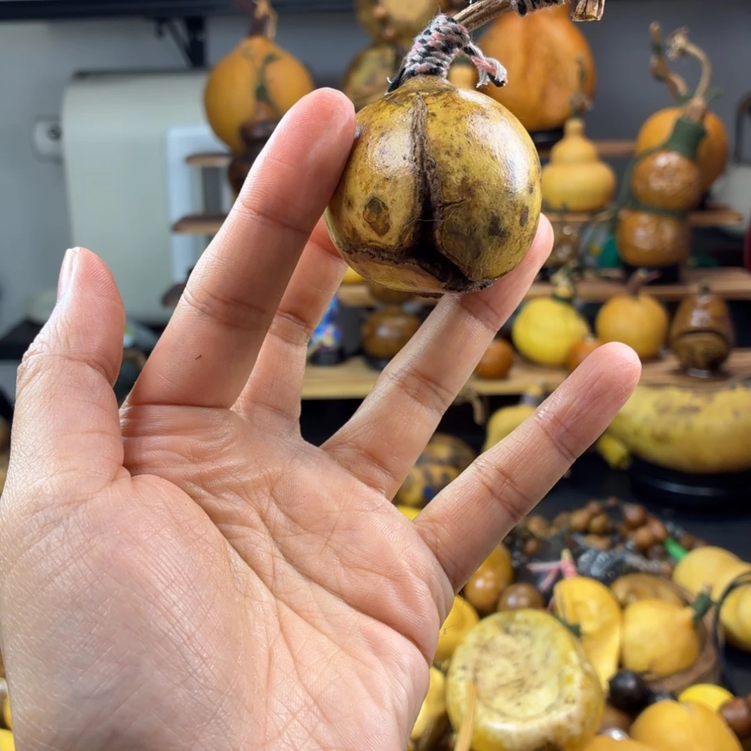 葫芦葫芦葫芦葫芦葫芦