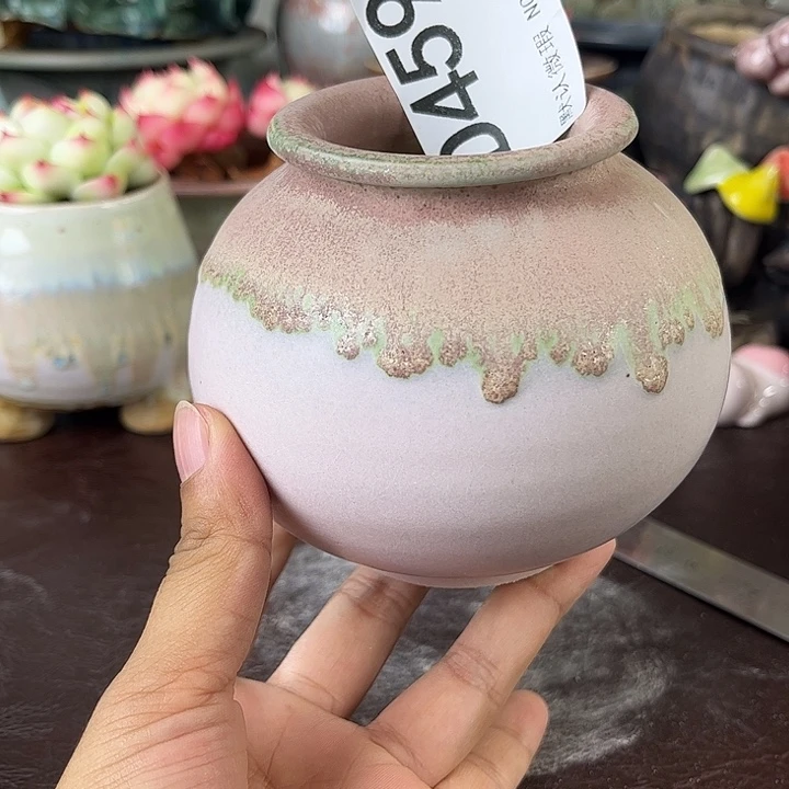 重庆小燕子欢迎大家一起459