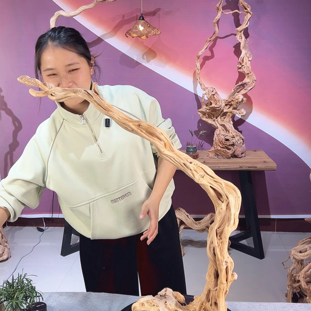 小***城木天然杜鹃根根艺摆件