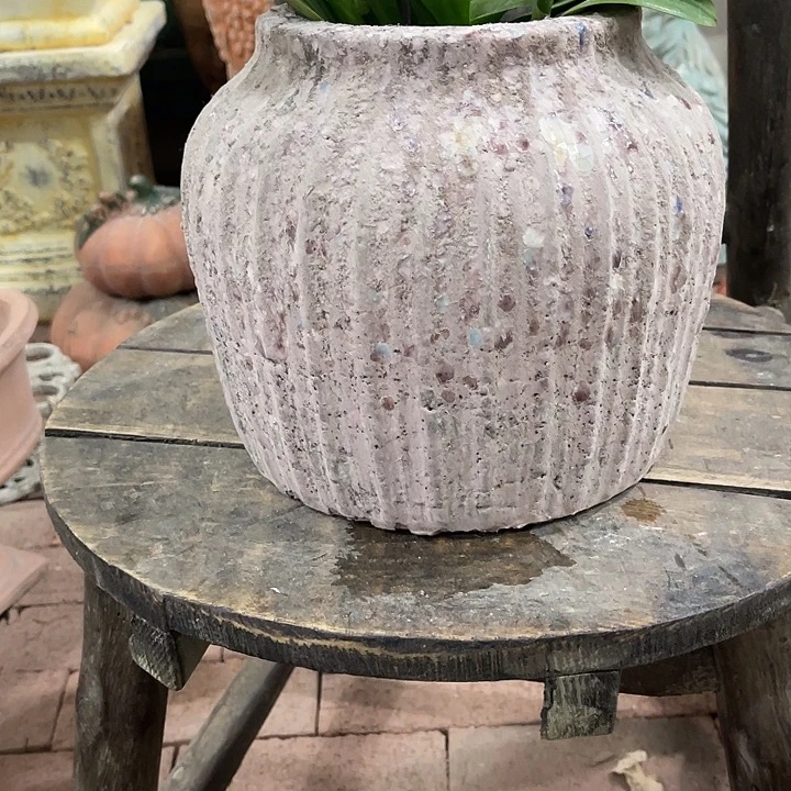 许纯的花房孤品444