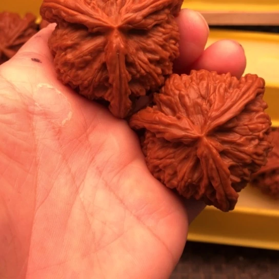 常***二核桃核桃核桃核桃核桃