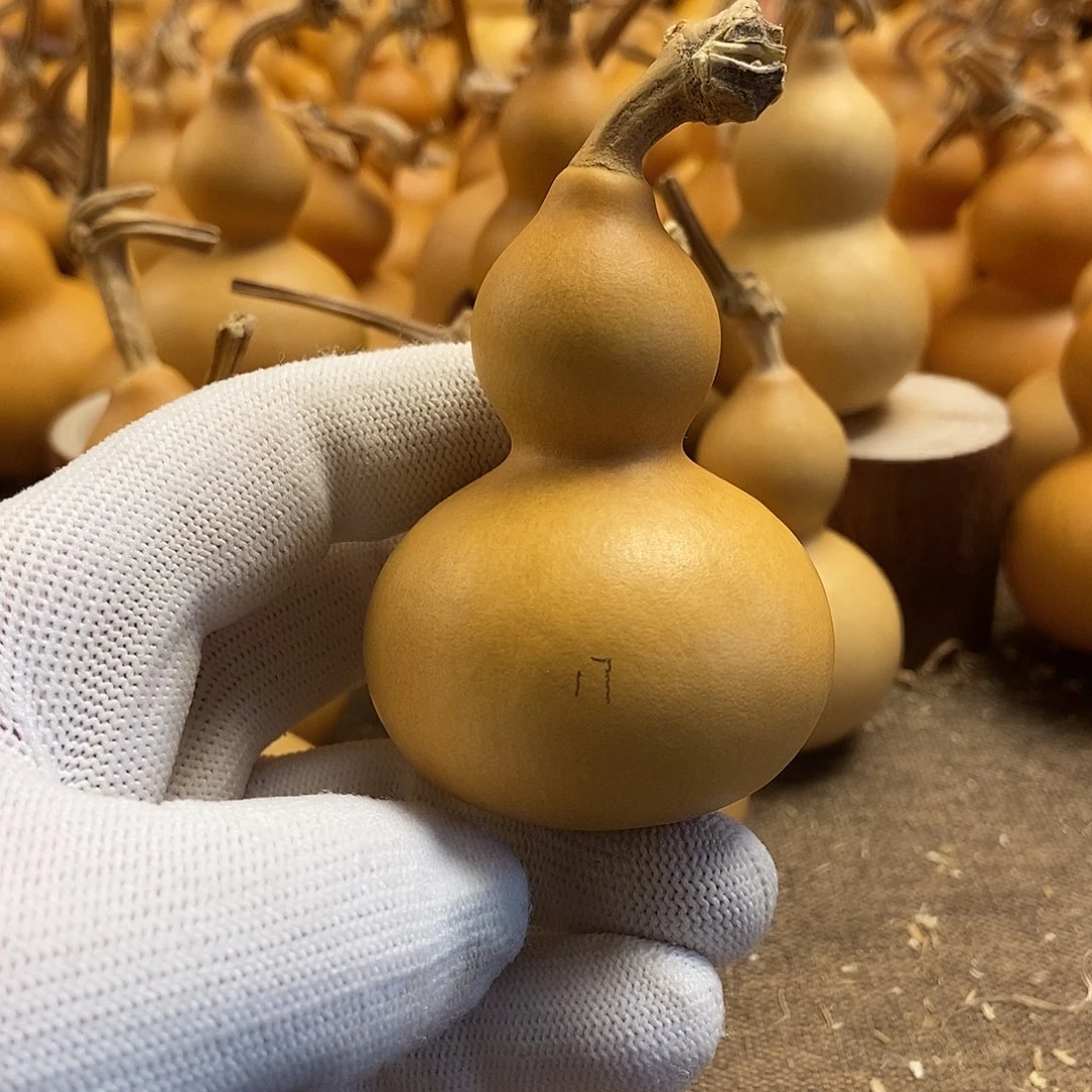 文玩葫芦 完美主义者 慎拍17