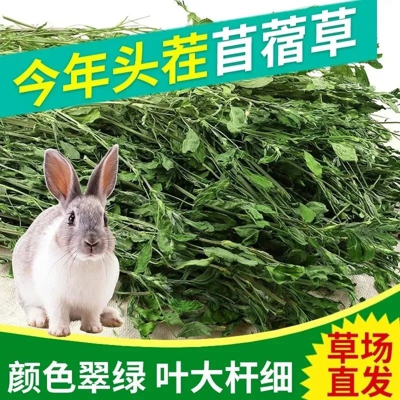 紫花苜蓿纯叶草烘干幼兔龙猫猪宠物营养主食牧草干草