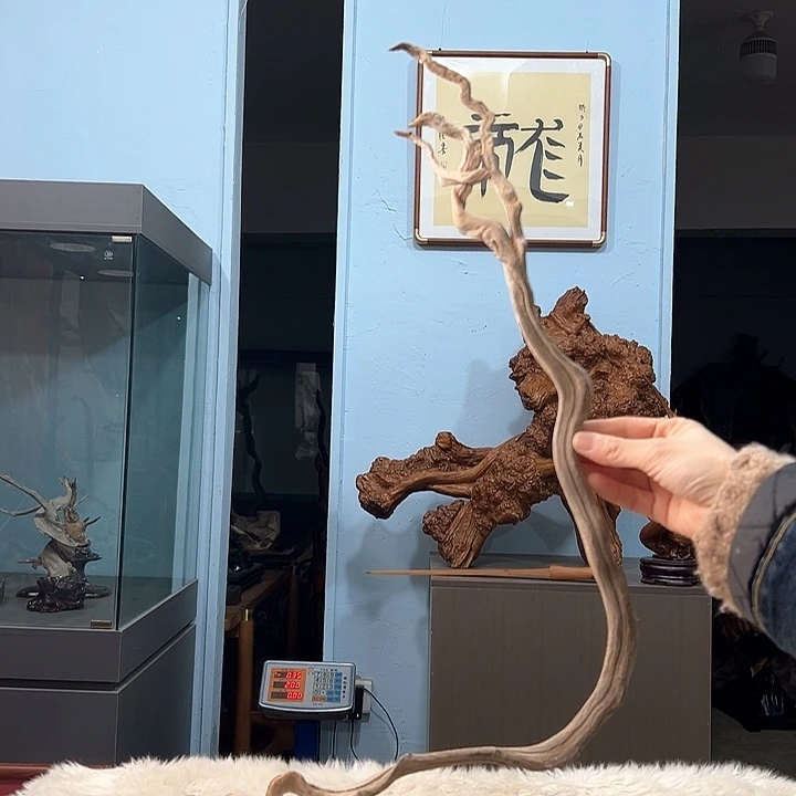 柏木快**乐我们的生活也是如此吧