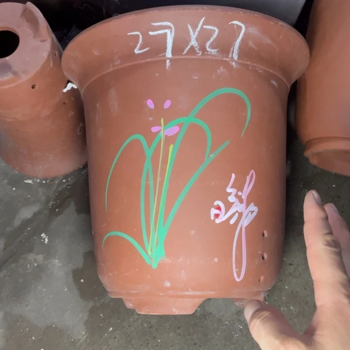 周深周深周深周深周深