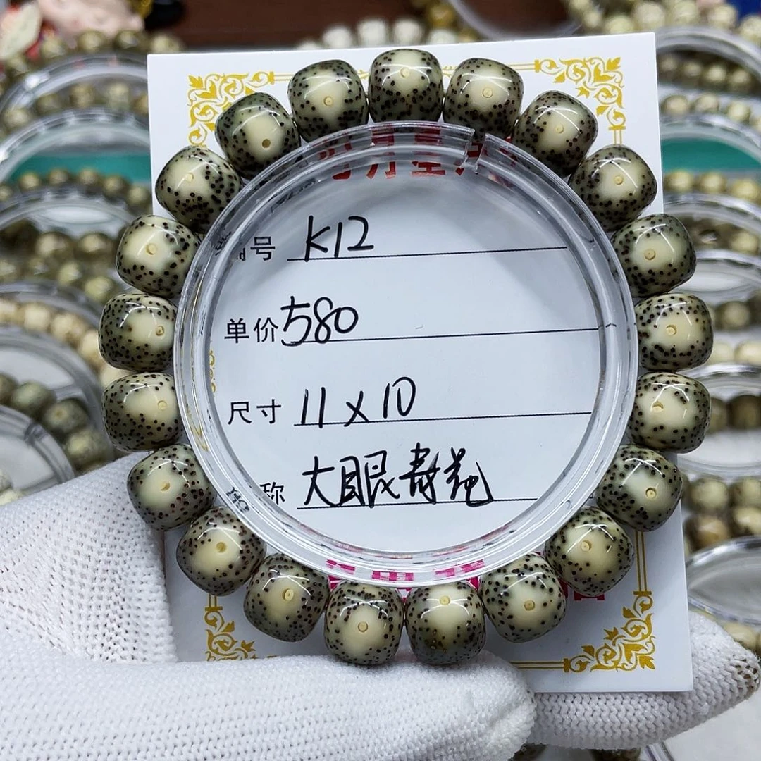 海南心月星月菩提k12