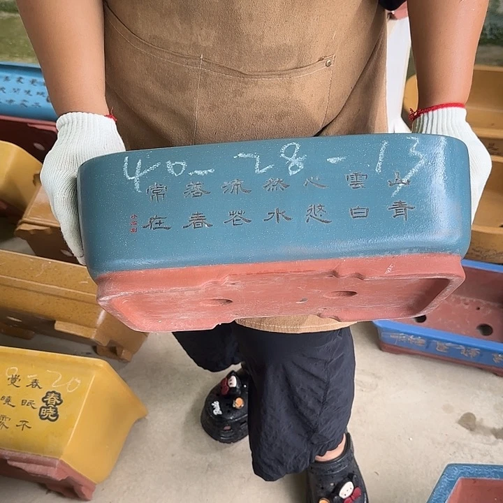 是一个充满生机盎然朝气