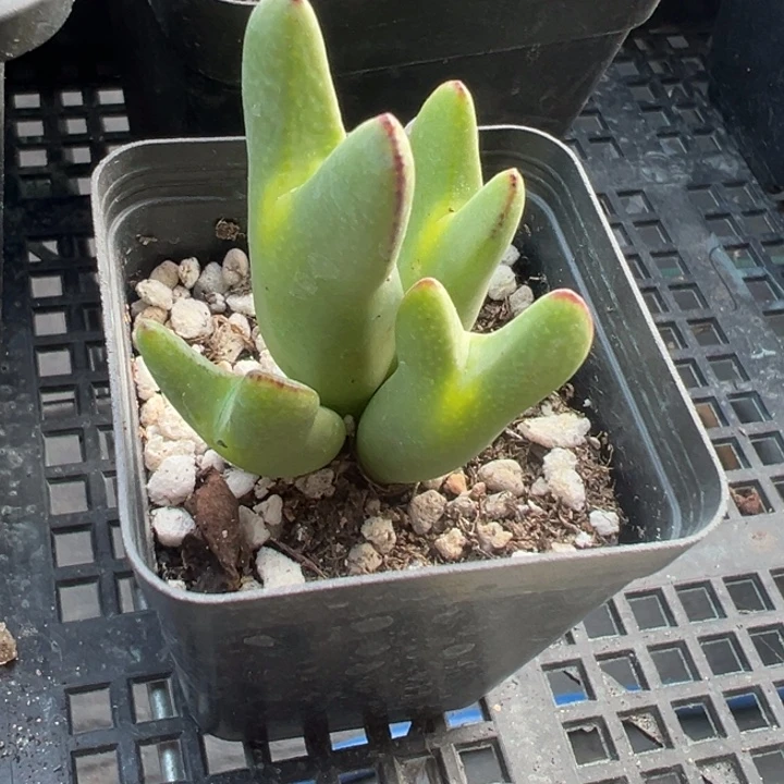 712号11111111111111