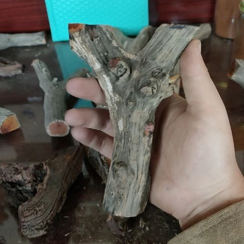 静***风核桃木/黑胡桃（胡桃木）