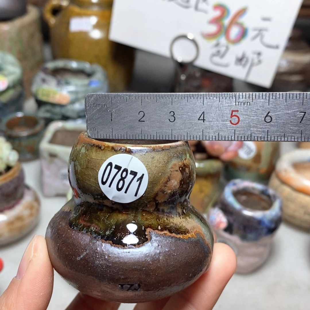 花盆拍5送一个小礼物